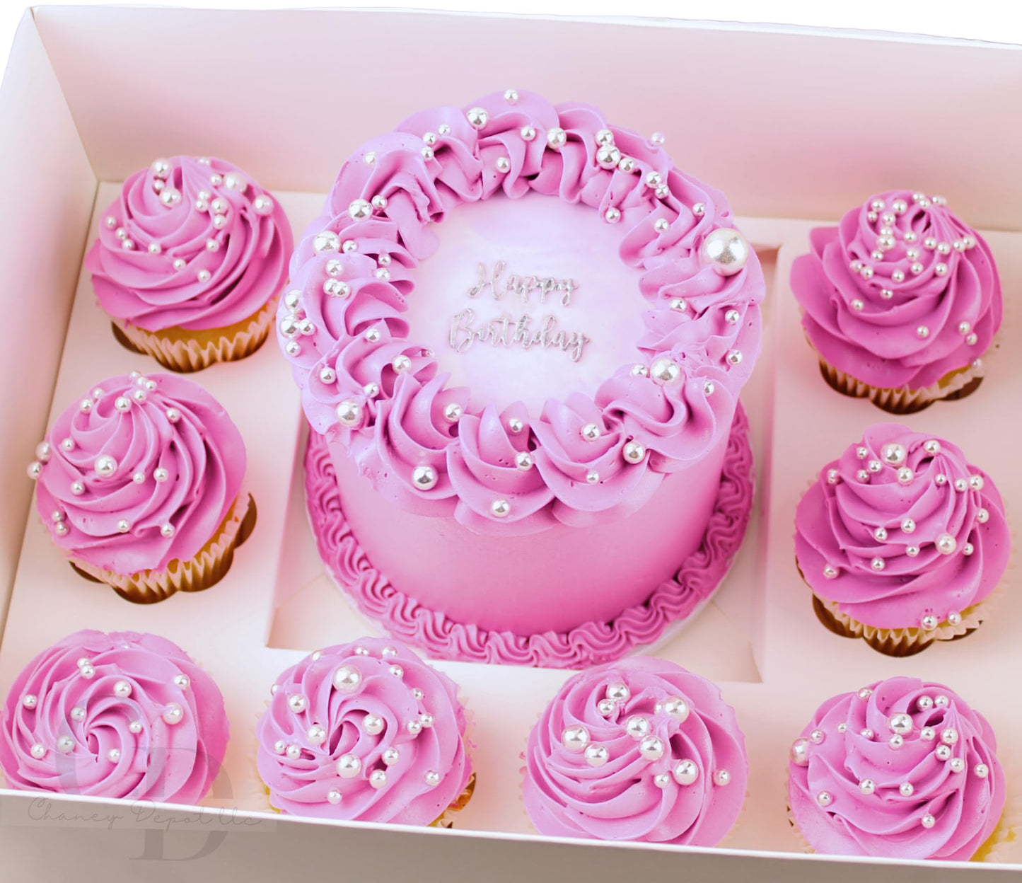 Chaney Depot LLC Cake and cupcake bento box with 8 cavities for cupcakes and 1 6in cavity