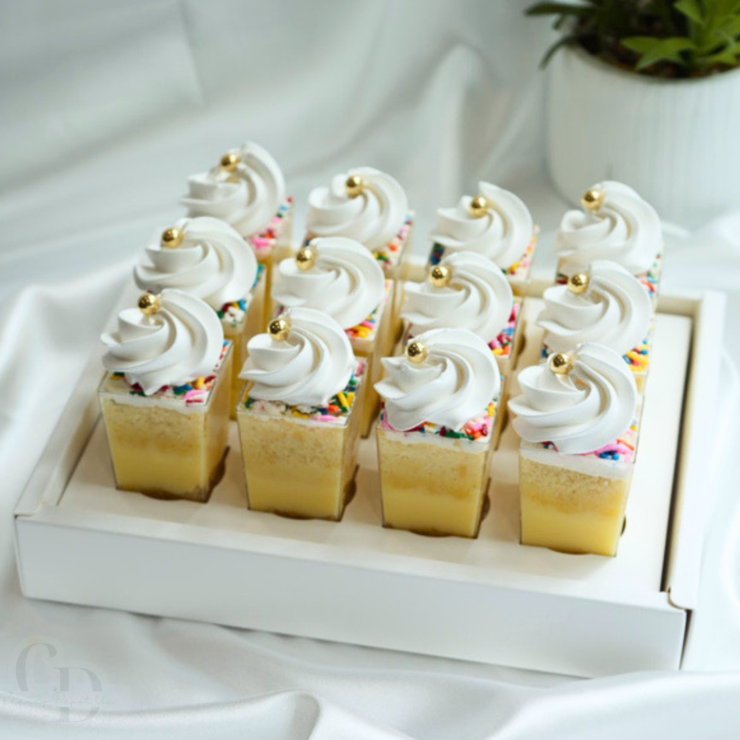 Dessert shooter square and round 3oz cup transport boxes- Clear lid