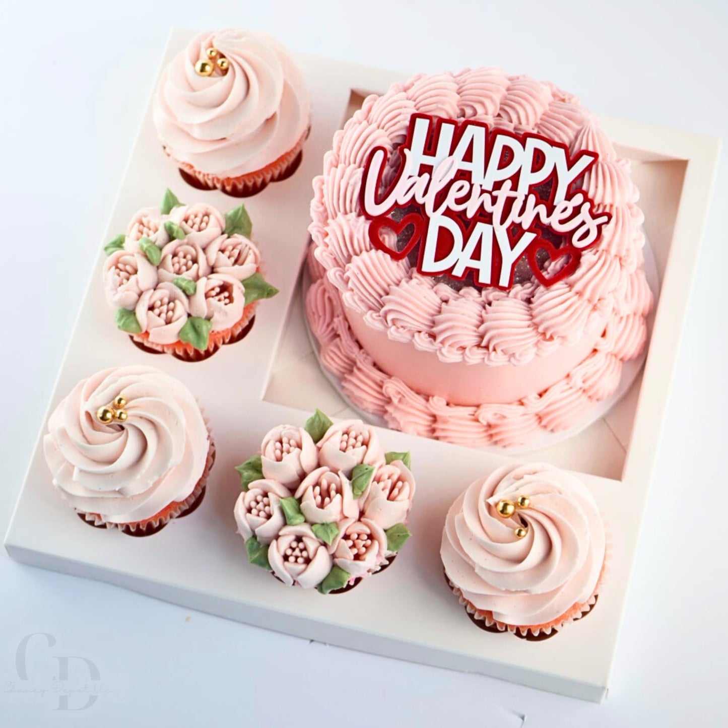 Bento Cupcake and cake box, 5 cupcake cavity space and 1 4-5in cake slot, white box with clear lid