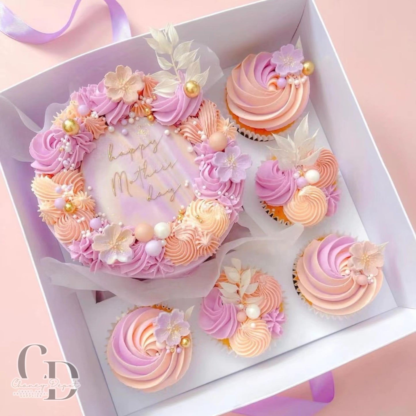 Bento Cupcake and cake box, 5 cupcake cavity space and 1 4-5in cake slot, white box with clear lid