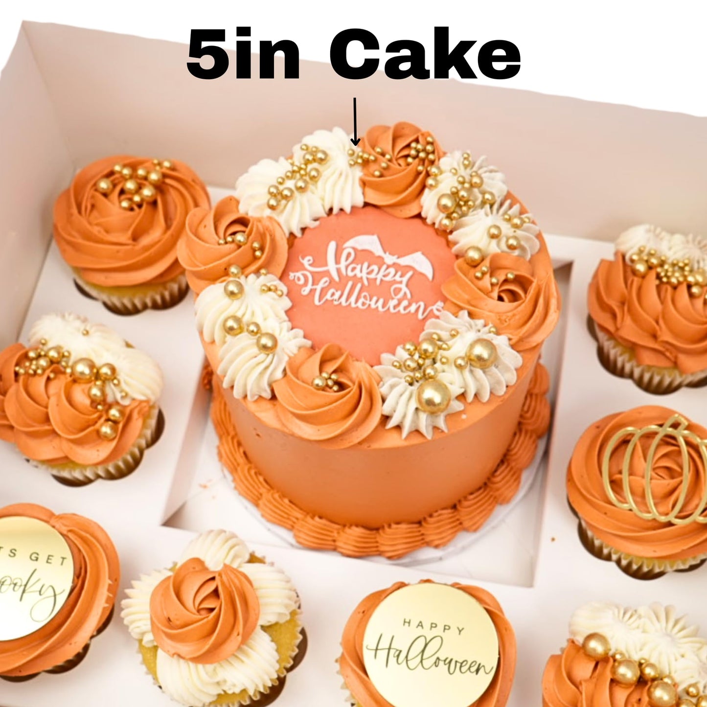 Chaney Depot LLC Cake and cupcake bento box with 8 cavities for cupcakes and 1 6in cavity