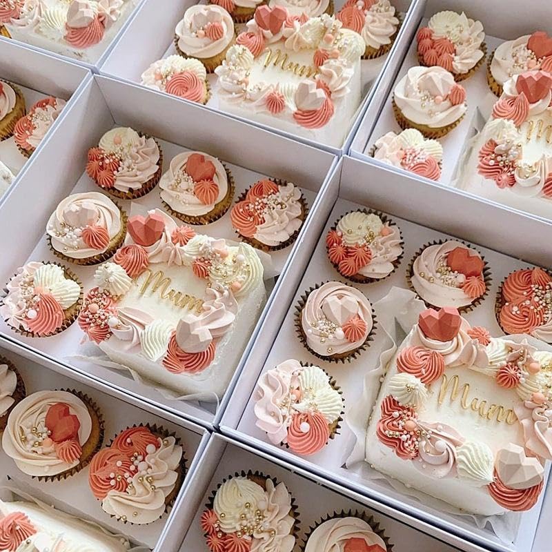Bento Cupcake and cake box, 5 cupcake cavity space and 1 4-5in cake slot, white box with clear lid